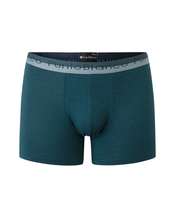 2-pack bamboo and cotton boxers, Cartago Color Green - 1 - 2 - 3 - 4 - 5 - 6 - 7