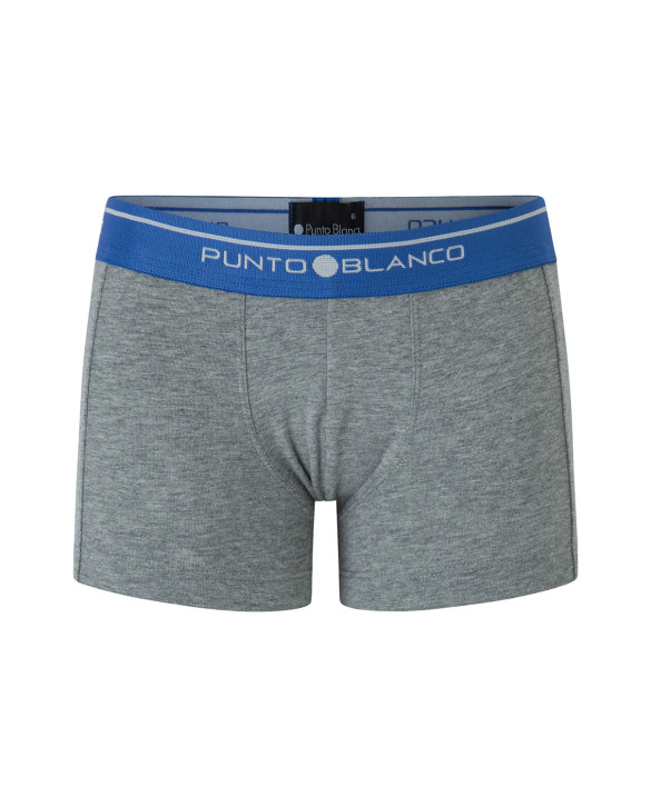 Basix 3 Pack Boxers Color Assorted - 1 - 2 - 3