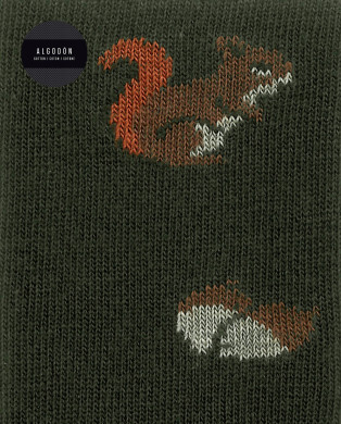 Cotton socks - squirrels Color Green - 1 2